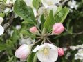IMG_7082-scaled